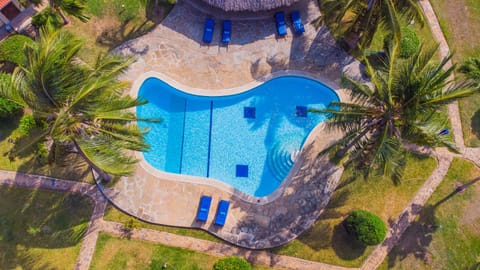 Pool view, Swimming pool, Swimming pool, sunbed