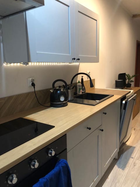 Kitchen or kitchenette, dishwasher, pet friendly, stove