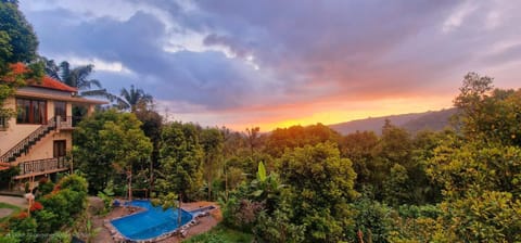 Property building, Garden, View (from property/room), Swimming pool