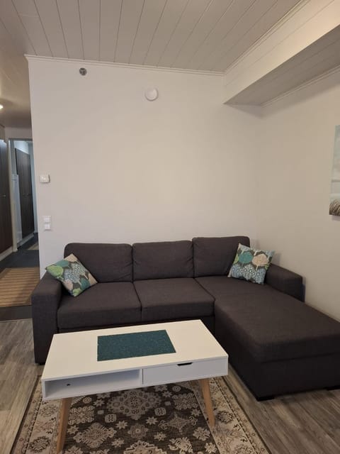 Starvillas B201 Apartment in Finland