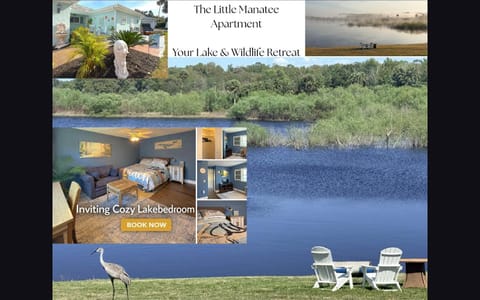 The little Manatee Apartment Bed and Breakfast in Apopka