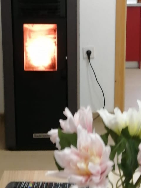 Noel Apartment in Vojvodina