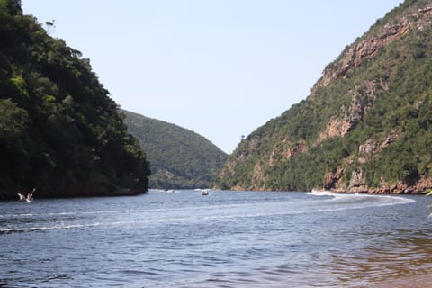 Day, Natural landscape