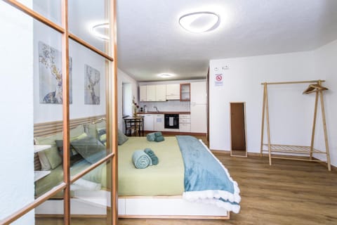 Bed, Kitchen or kitchenette, Photo of the whole room, Bedroom, minibar, pet friendly, towels