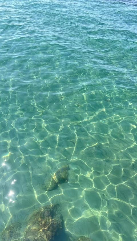 Roma By Sea Apartment in Ostia