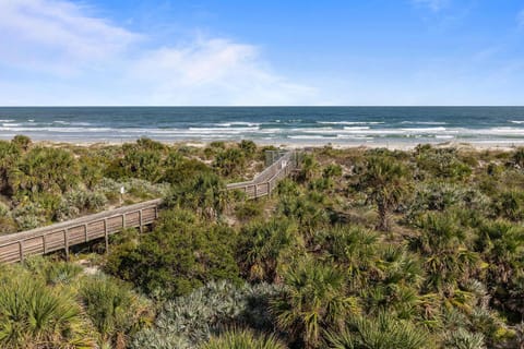 Minorca Andros 402 House in New Smyrna Beach