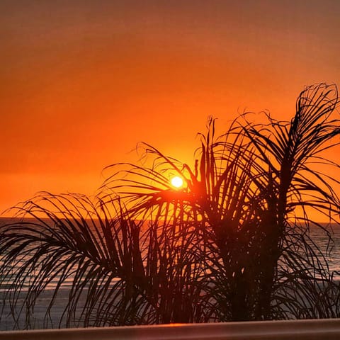 Bikini's & Martini's Beachfront: Direct Gulf Front! Pool, Spa, Pro-Series Loaded Game Room & Arcade House in Holmes Beach