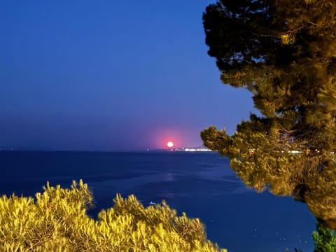 Ξενοδοχείο Ευριπίδης Hotel in Halkidiki