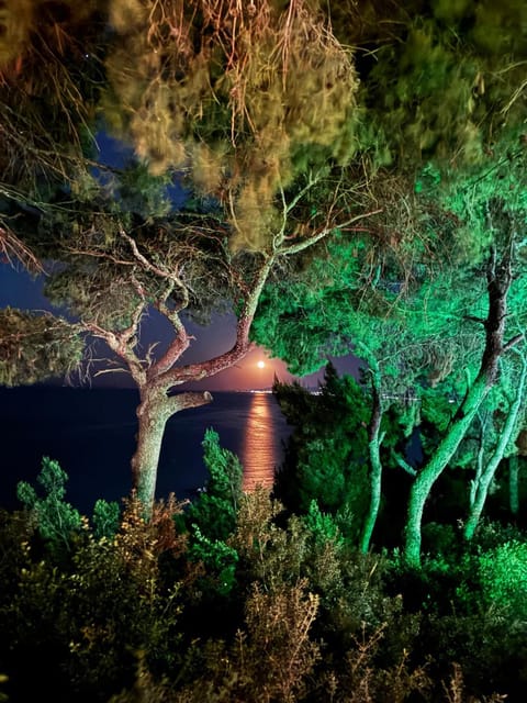 Ξενοδοχείο Ευριπίδης Hotel in Halkidiki