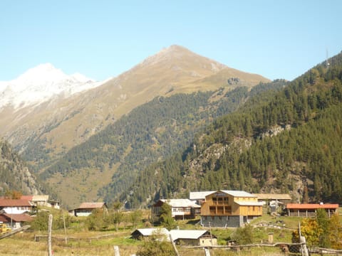 Mountain view