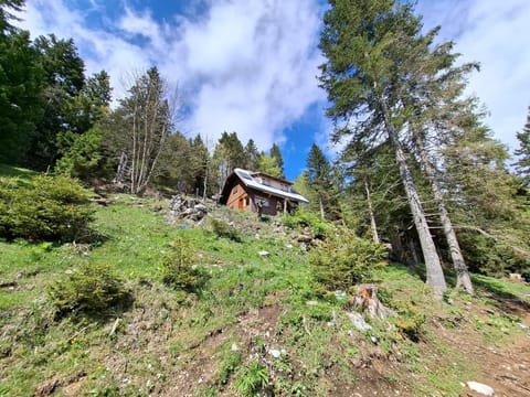 Cabin on Kobilica Off Grid Alpine Eco Retreat with Stunning Views Trail access only hike&bike Cabin in Carinthia, Austria