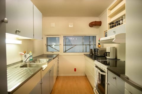 Kitchen or kitchenette, dishwasher, oven, stove
