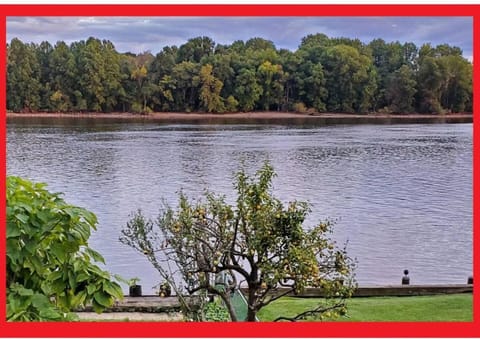 Garden, River view