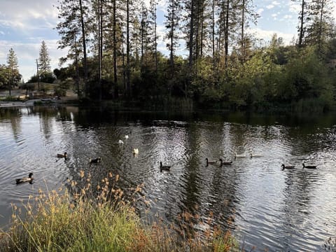 Cedar Springs Retreats Campground/ 
RV Resort in Sierra Nevada