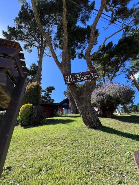 Natural landscape, Street view