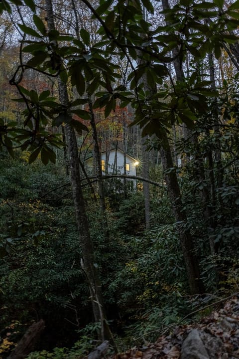 Creekside Guest House Mountains & Relax to the soothing sound of the creek House in Mills River