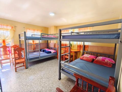 Bed, Photo of the whole room, Bedroom, bunk bed