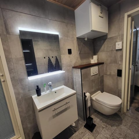 Cozy studio with a wood burning sauna Apartment in Finland