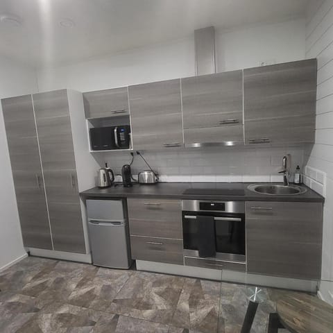 Cozy studio with a wood burning sauna Apartment in Finland