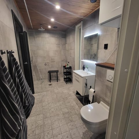 Cozy studio with a wood burning sauna Apartment in Finland