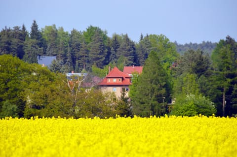 Property building, Neighbourhood, Natural landscape, Bird's eye view, Area and facilities, Area and facilities