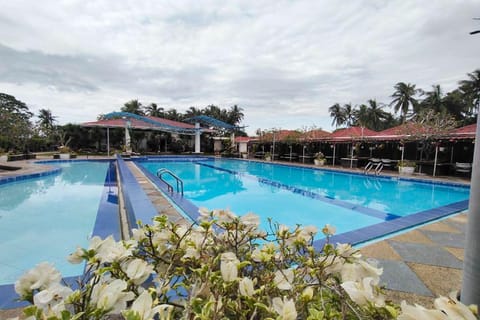 Swimming pool, Swimming pool