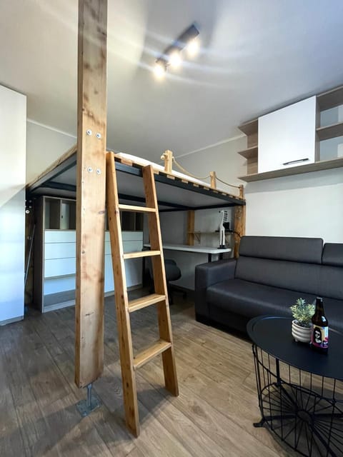 Living room, Photo of the whole room, Seating area, Bedroom, bunk bed