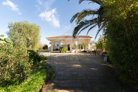 Property building, Garden, Garden view