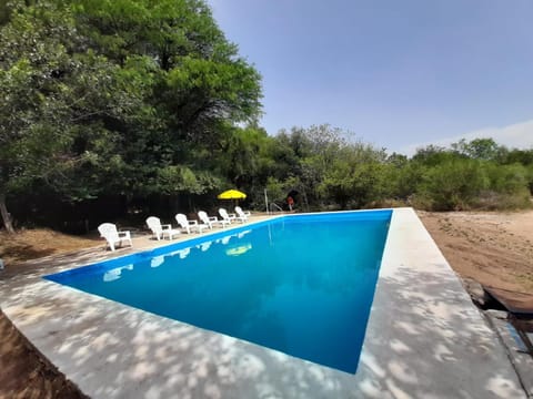 Pool view, sunbed