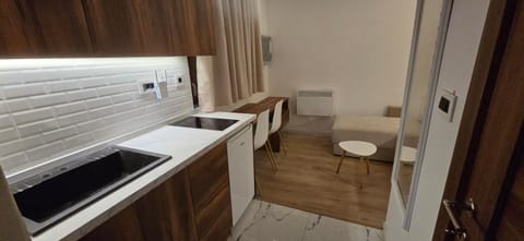 Vilotic group - Studio 1 Apartment in Zlatibor