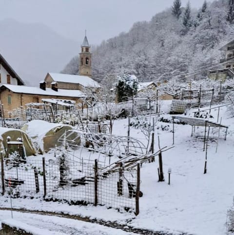 Natural landscape, Winter