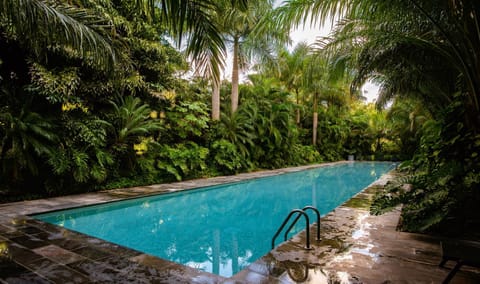 Property building, Natural landscape, Garden, Garden view, Swimming pool, Swimming pool, sunbed