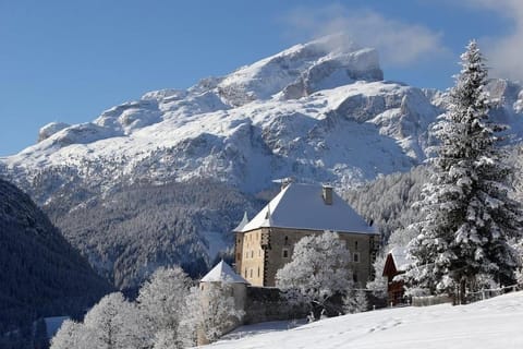 Luxury Chalet at the Foot of the Dolomites by the Castle Apartment in La Villa