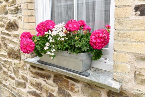 Cliftons Guest House Bed and Breakfast in Truro