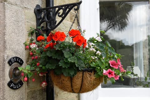 Cliftons Guest House Bed and Breakfast in Truro