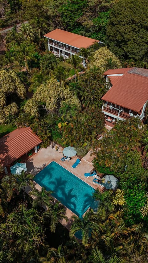 Property building, Day, Natural landscape, Bird's eye view, Pool view, Swimming pool