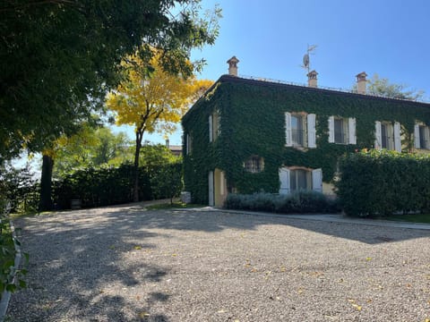 Day, Garden, Garden view
