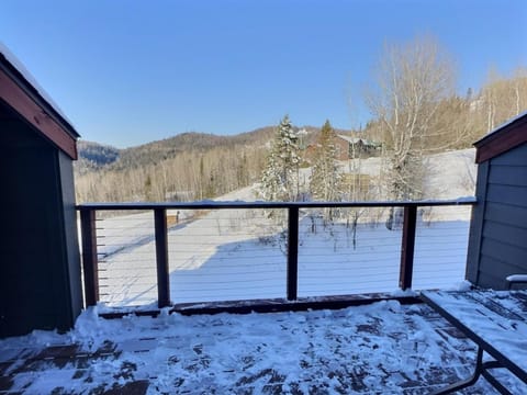 North Shore Knotty Loft Ski in out Hot Tub House in Lutsen