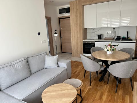 Kitchen or kitchenette, Living room, Seating area, Dining area, oven