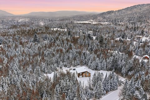 Natural landscape, Bird's eye view, Winter