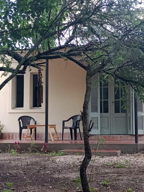Property building, Patio, Day, Garden, Garden view