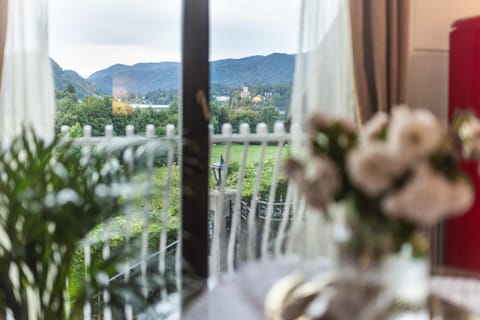 Historic lake view Bled apartment Apartment in Bled