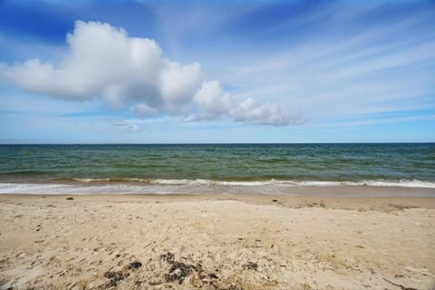 Eagles Nest Beachfront Property House in Norfolk
