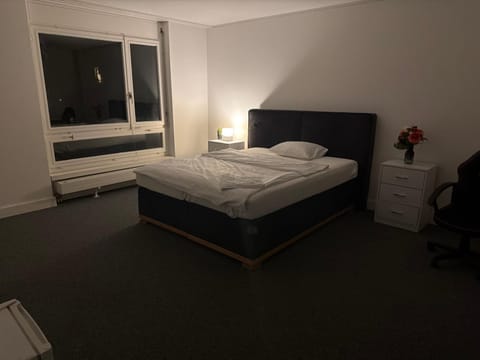 Lindas Apartment Vacation rental in Zurich City