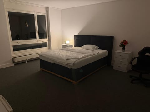 Lindas Apartment Vacation rental in Zurich City
