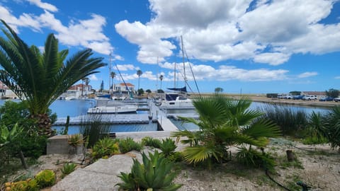 Activities, Garden, River view