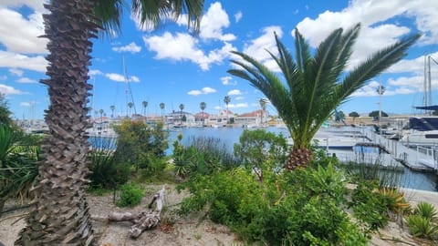 Day, Garden, River view