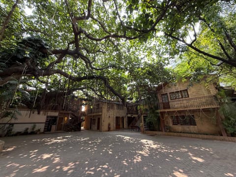 Property building, Natural landscape