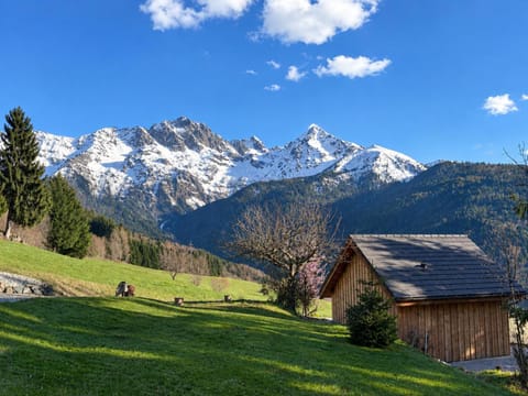 Spring, Mountain view