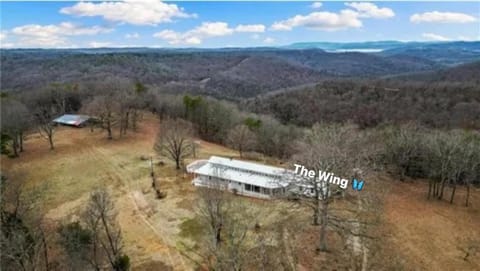 The Wing - luxurious king suite tiny studio home! House in Table Rock Lake